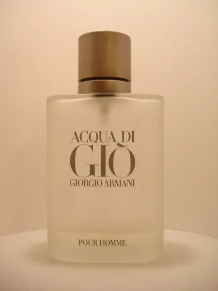 Giorgio Armani Acqua di Giò Eau de Toilette 100 ml